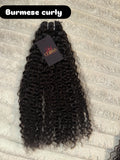 Lux Burmese Curly